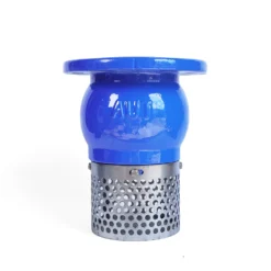 VAN HÚT MỘT CHIỀU - RỌ HÚT - RỌ BƠM